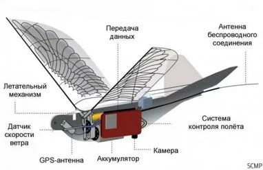 9b0404ebc1c484ea0a21ae023edf2b5fcc277c42.webp