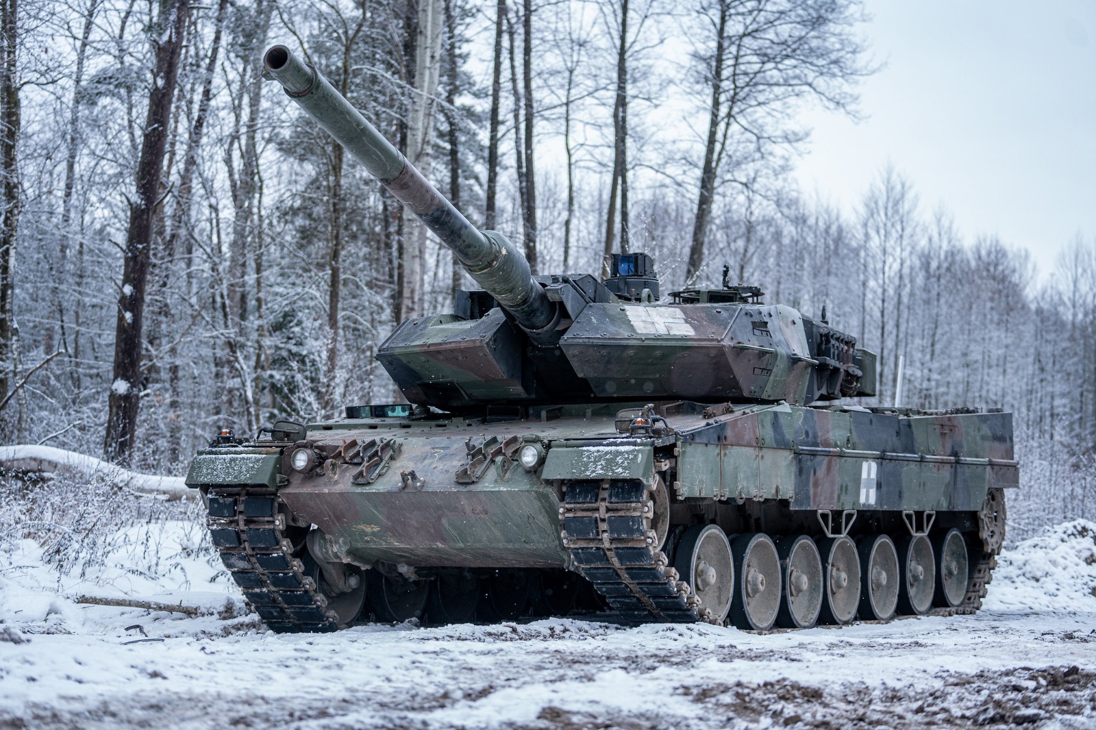 LEOPARD-2.jpg