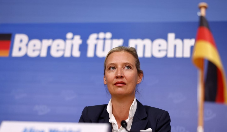 afd_1.jpg