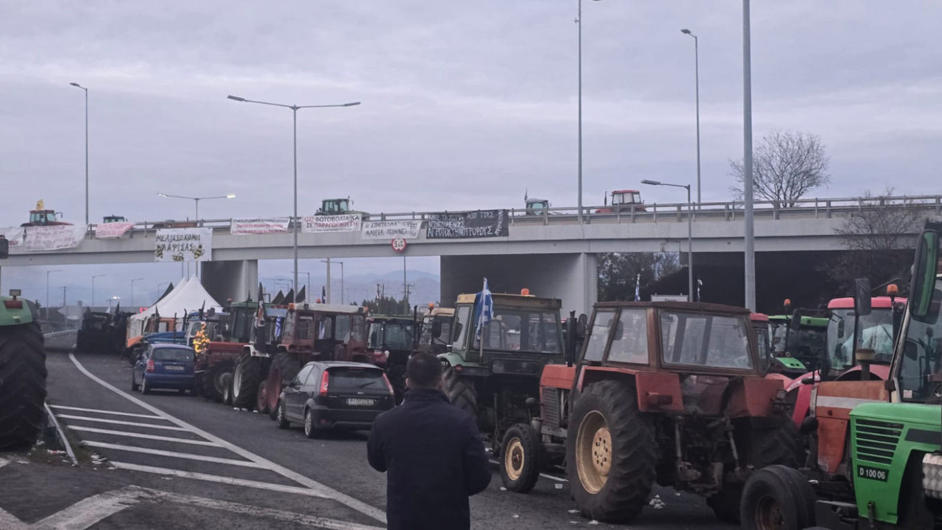 agrotes2312-_2_.jpg