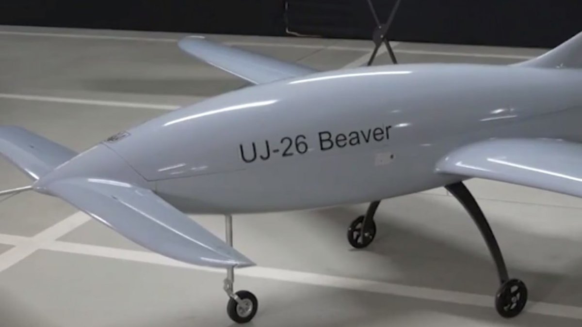 beaver.jpg