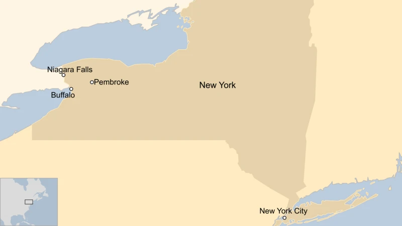 buffalo.webp