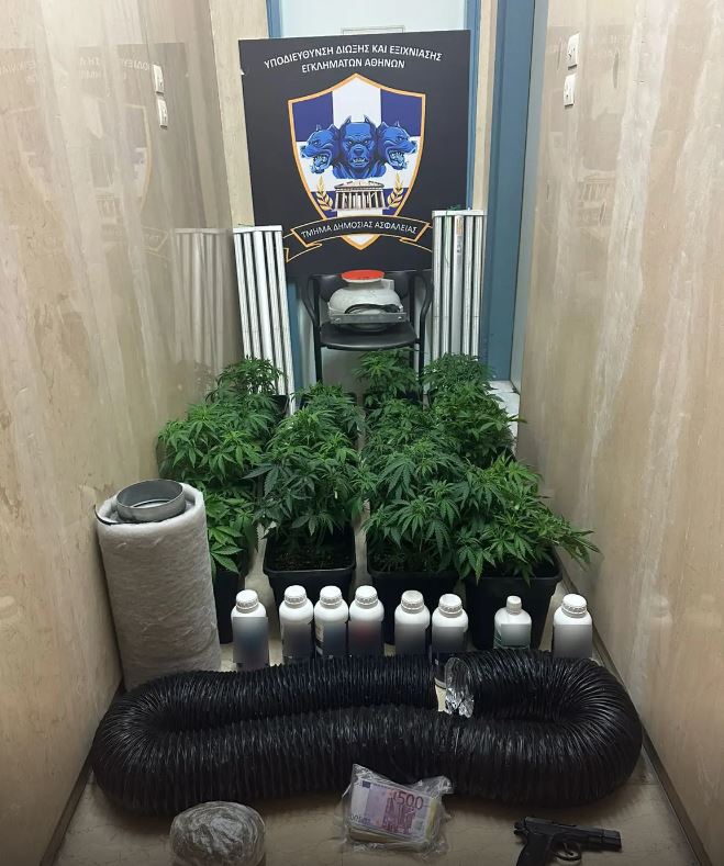elas1_68.JPG