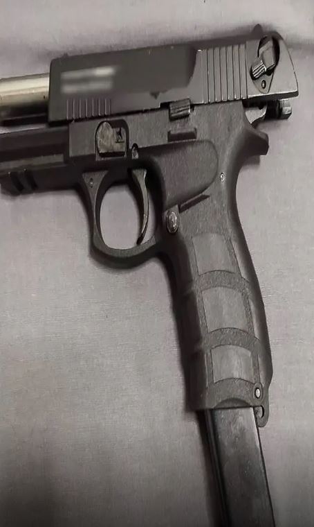 elas2_43.JPG