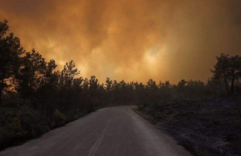 evros_wildfire.JPG