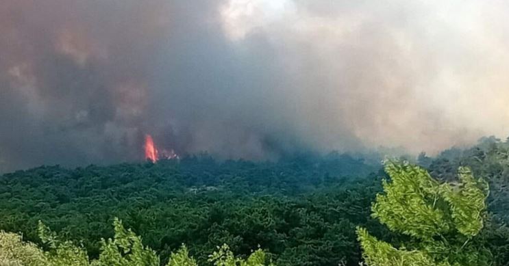 evros_wildfire_2.JPG