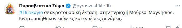 fotiua_1.JPG