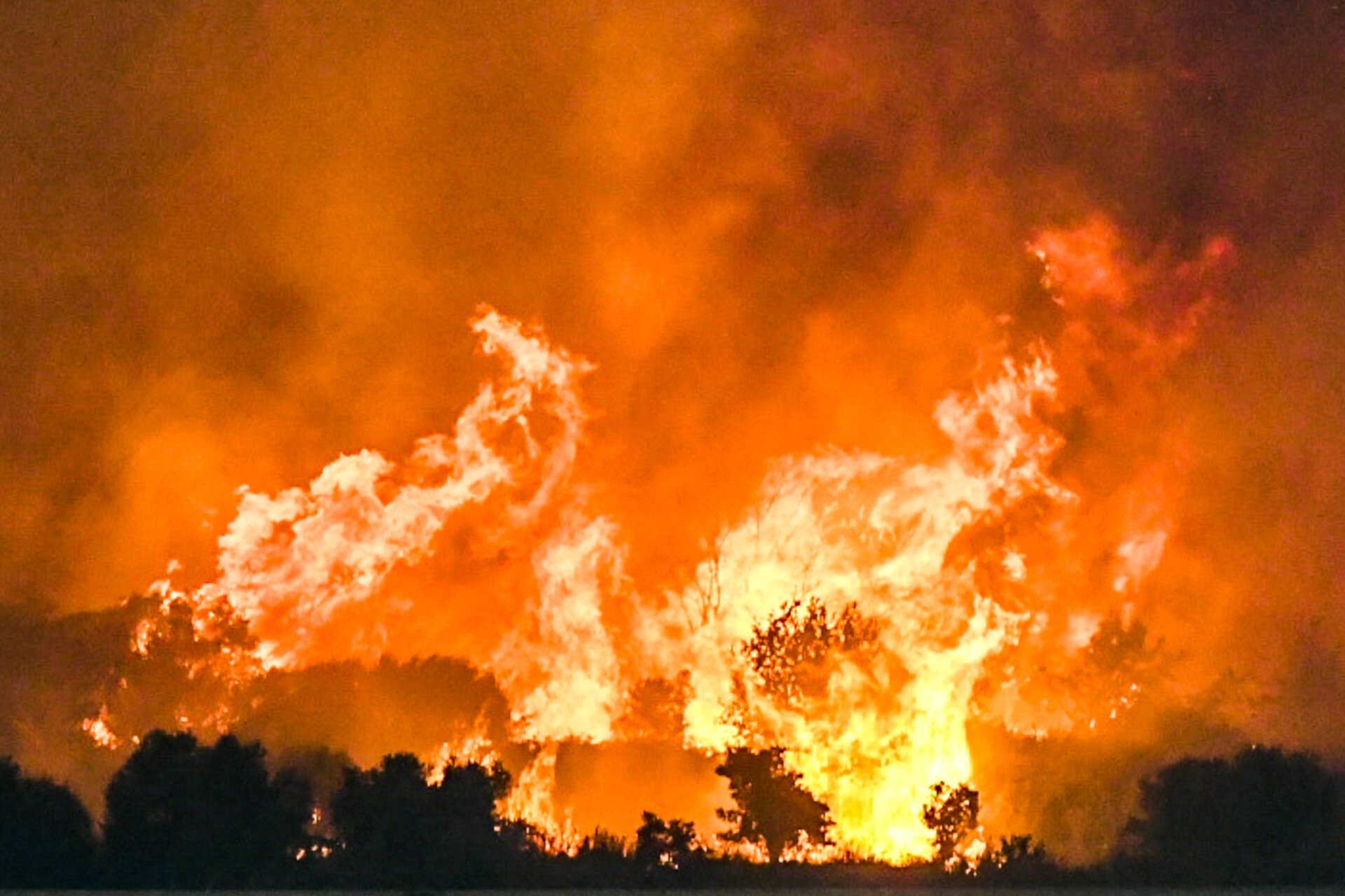 ftia_patra.jpg
