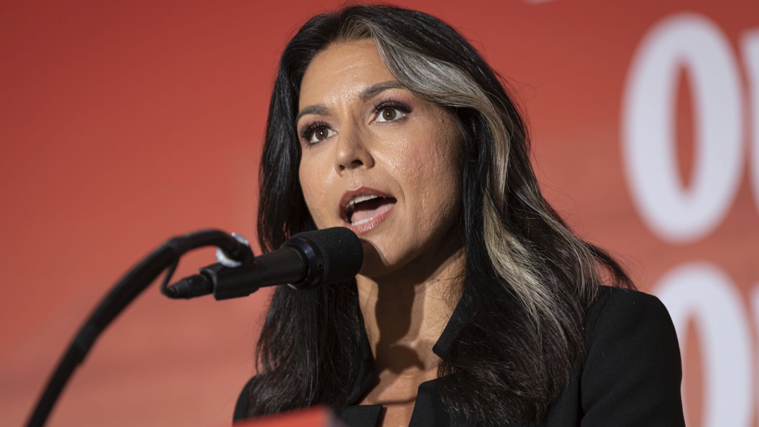 gabbard.jpg