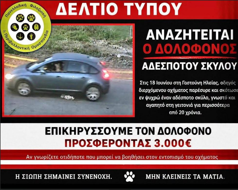 gastouni2.JPG