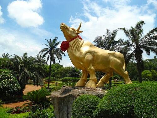 gold-bull.jpg