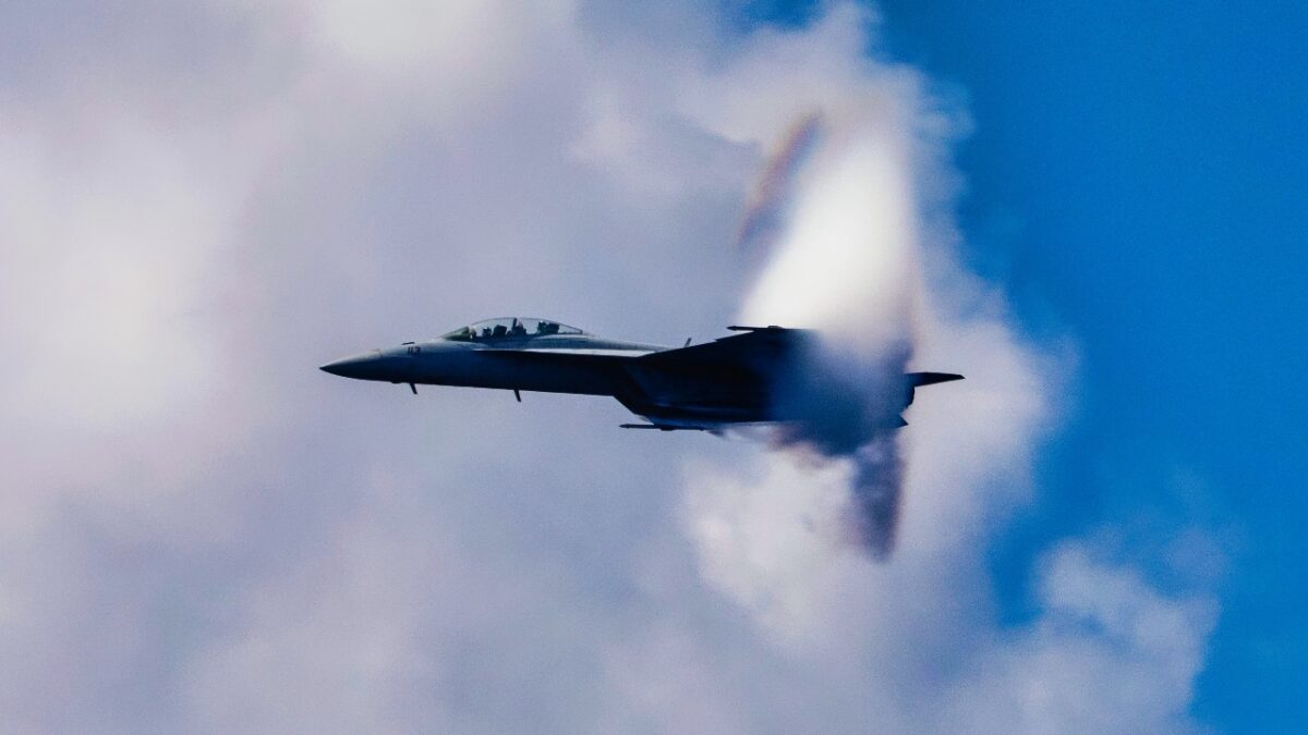 hornet_1.jpg