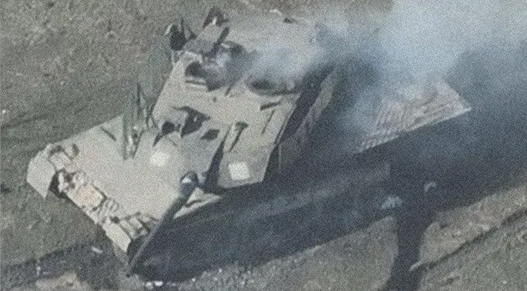 leopard_2.png