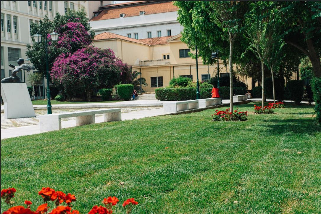 plateia.JPG