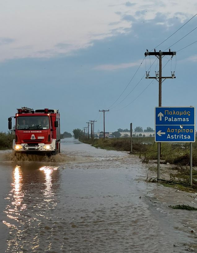 purosvst_8.JPG