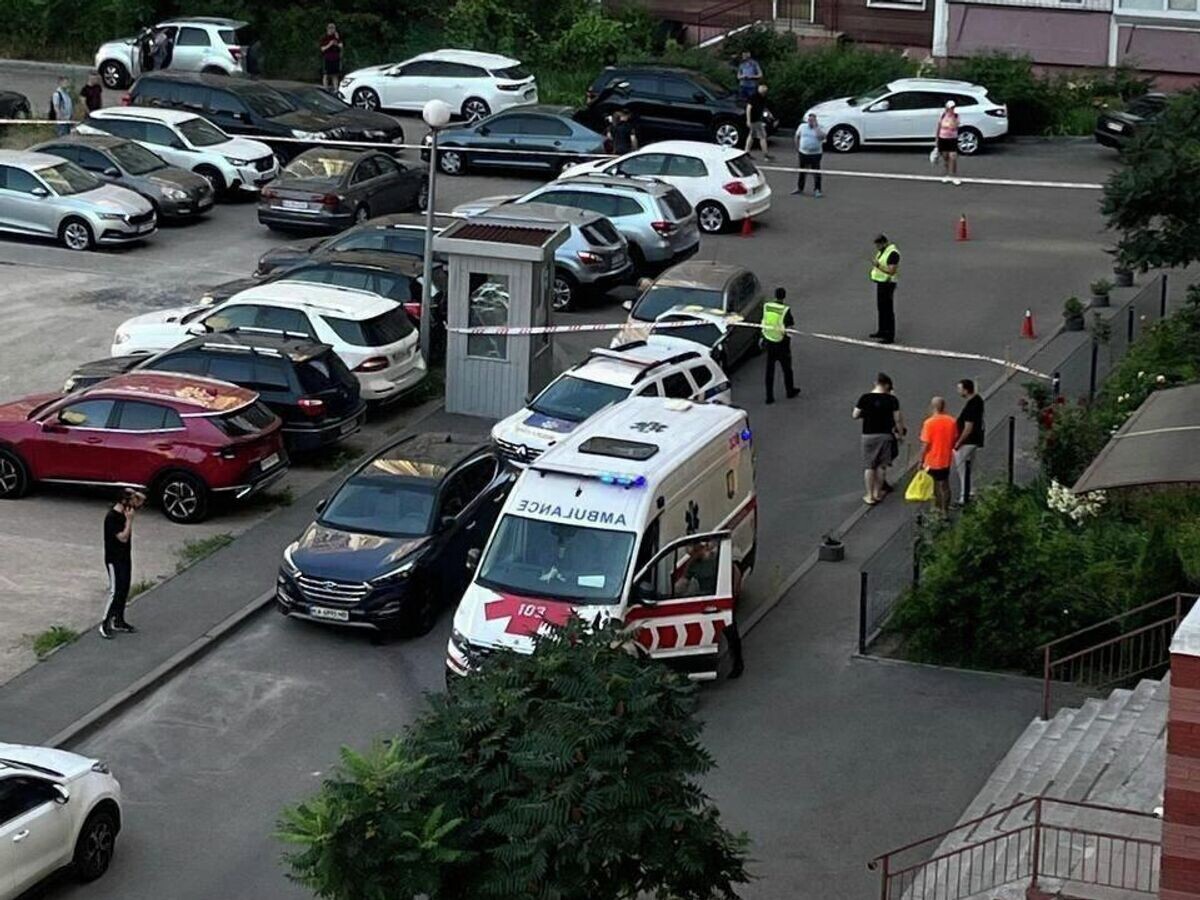 voronich_3.jpg