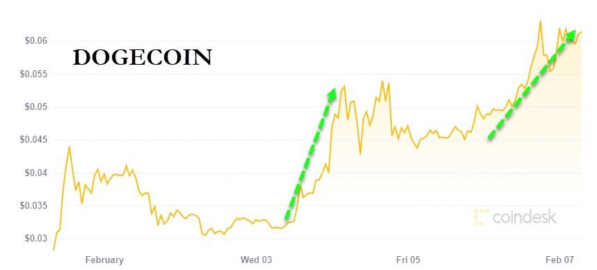 Dogecoin_3.jpg