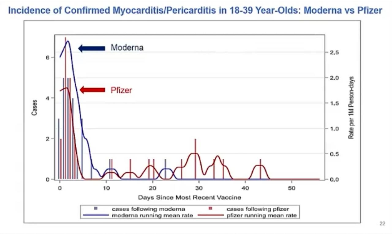 MyocarditisΦ2BN.jpeg