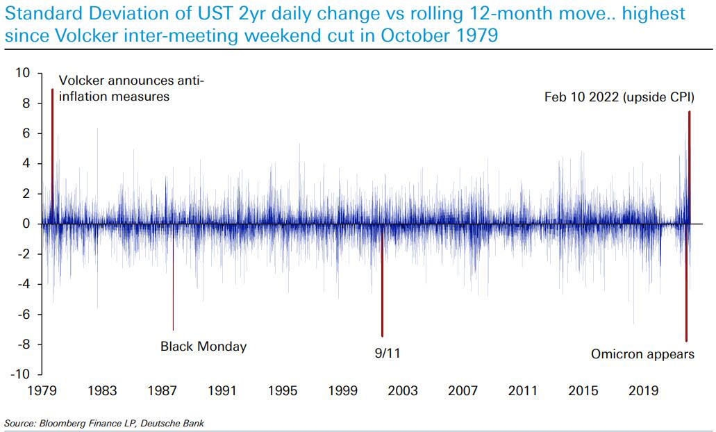 d4_1.jpg