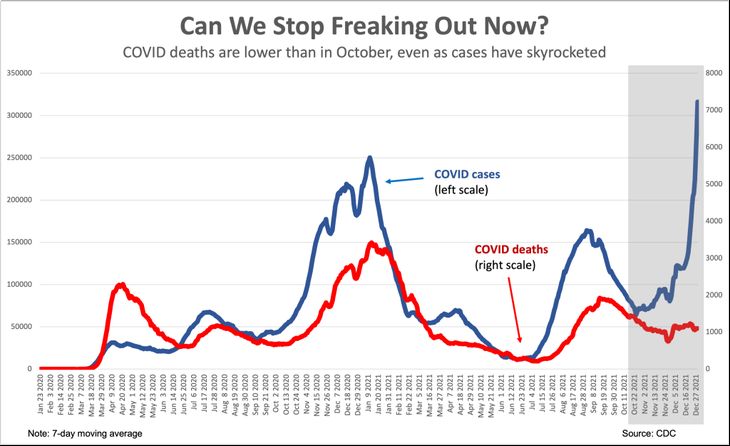 image-730x446.jpg