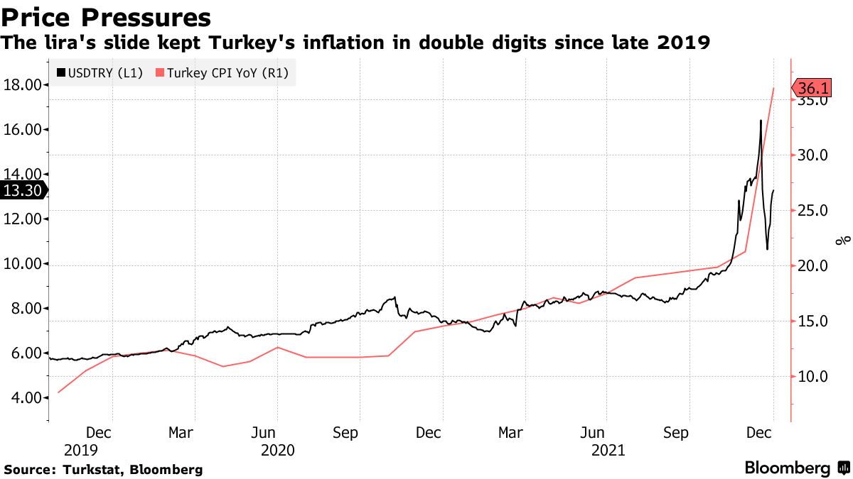 turkey1.jpg